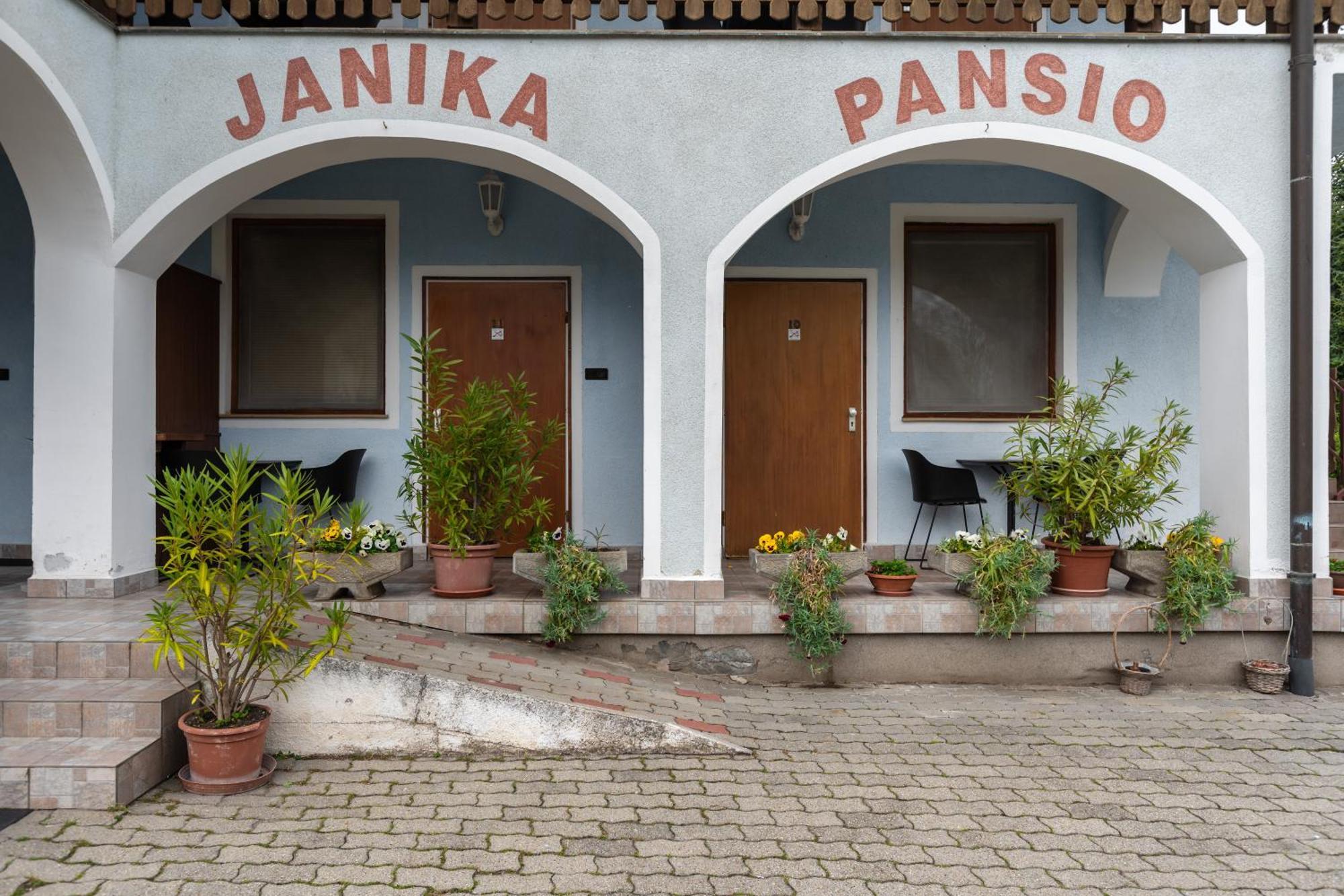 Janika Pension Вонярквашеги Екстериор снимка